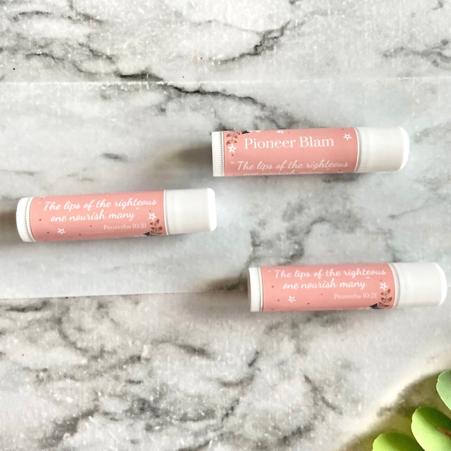 Sisters Pioneer Lip Balm